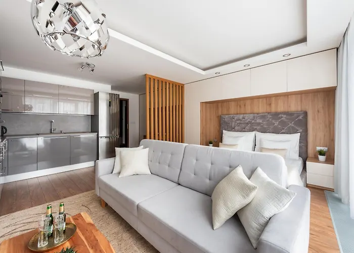 Luxury & Air-conditioned Osko Near The Center *